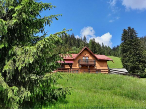 Casa Aurici Vatra Dornei